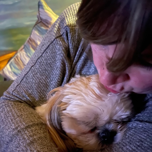 Meet your Posher, Jacksyn - Picture 4 of 16